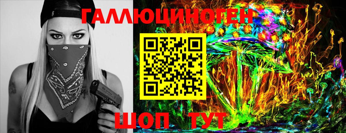 Гудермес  Псилоцибиновые грибы Magic Shrooms  Вход с VPN 